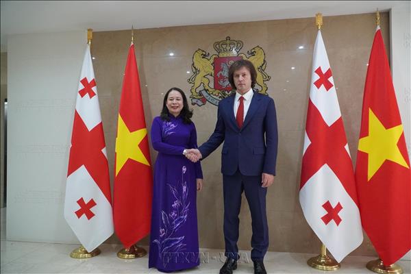 Vietnam, Georgia seek to deepen bilateral cooperation