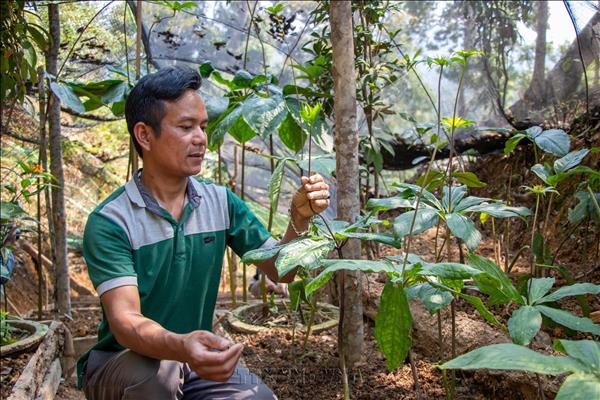 Connecting agriculture, tourism to unlock economic development in mountainous areas