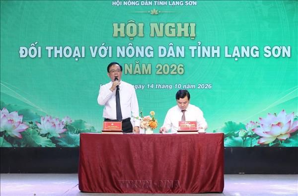 Chuyển từ sản xuất nông nghiệp sang kinh tế nông nghiệp bền vững ở miền núi