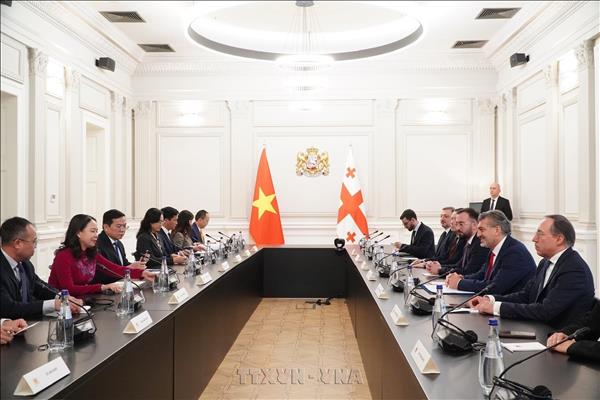 Vietnamese Vice President meets with Georgian leaders