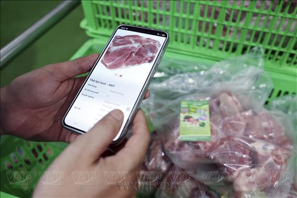 Hanoi builds safe, traceable agricultural chains