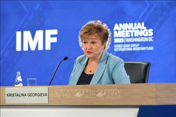 IMF ព្រមានពីហានិភ័យដែលបណ្តាលមកពី AI និងការវាយប្រហារតាមអ៊ីនធឺណិត