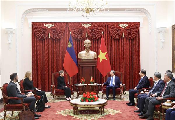 Tổng Bí thư, Chủ tịch nước Tô Lâm tiếp Thủ tướng Công quốc Liechtenstein