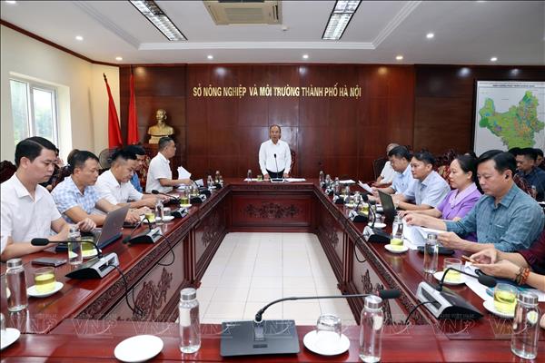 Hà Nội gấp rút phối hợp chuẩn bị tổ chức Festival Bảo tồn và Phát triển Làng nghề toàn cầu năm 2026