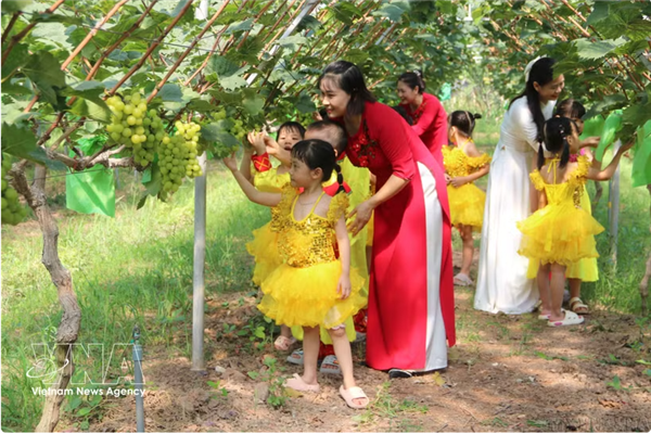 Promouvoir le rôle des femmes dans lagriculture high-tech liée à la croissance verte et au développement durable