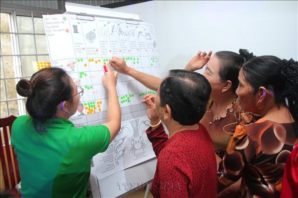 Lấy nông dân làm trung tâm trong quản lý dinh dưỡng chính xác