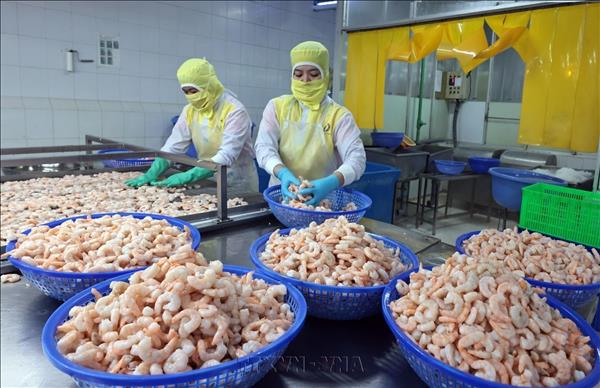 Seafood exports see opportunities to accelerate growth at year-end