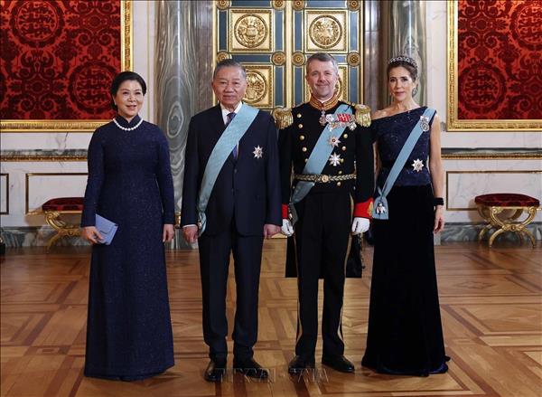 Vietnam-Denmark relations to continue developing strongly, substantively: Top leader