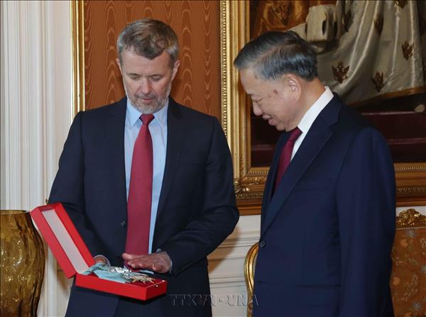 Top Vietnamese leader receives Denmarks highest-ranked honour