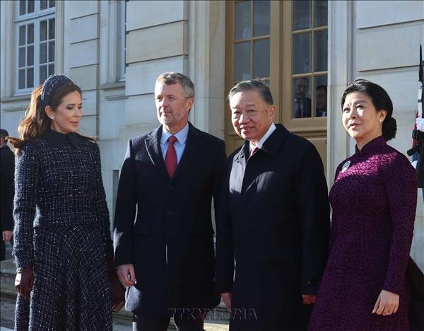 Vietnam Treasures Time-Tested Friendship, Multifaceted Cooperation with Denmark: Top Leader
