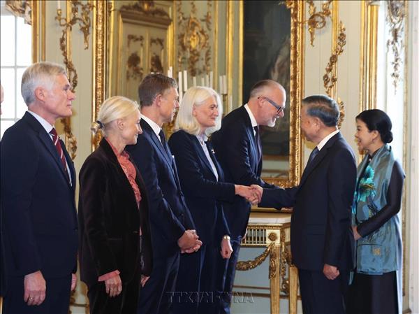 越共中央总书记、国家主席苏林及夫人圆满结束对丹麦王国的国事访问