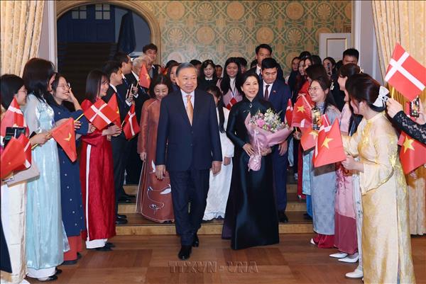 Top leader meets embassy officials, Vietnamese communities in Denmark, Iceland, Southern Sweden