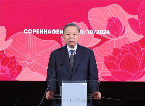 Top leader stresses linking Denmarks strengths with Vietnams potential, development opportunities