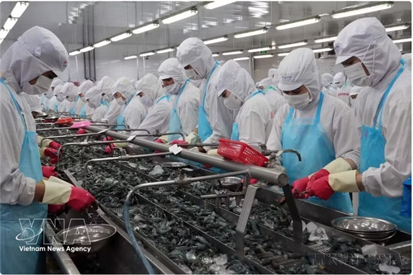 Le VEFTA ouvre de nouvelles perspectives dexportation pour les produits vietnamiens