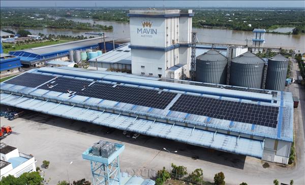 Doanh nghiệp Đồng Tháp góp phần sản xuất xanh thông qua điện mặt trời