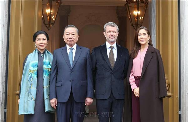 Top Vietnamese leader concludes state visit to Denmark