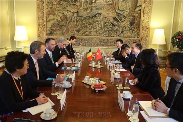 Vietnam, Belgium seek to deepen bilateral cooperation