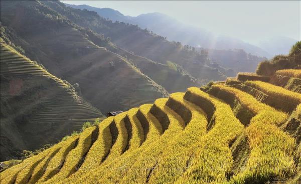 Vietnam ranks fourth among top autumn travel destinations for 2026
