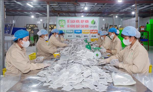 SADU – từ cây dại đến tiêu chuẩn quốc gia