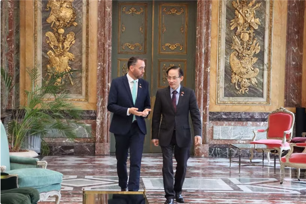 Le ministre des Affaires étrangères Le Hoai Trung rencontre le vice-PM et ministre belges des Affaires étrangères