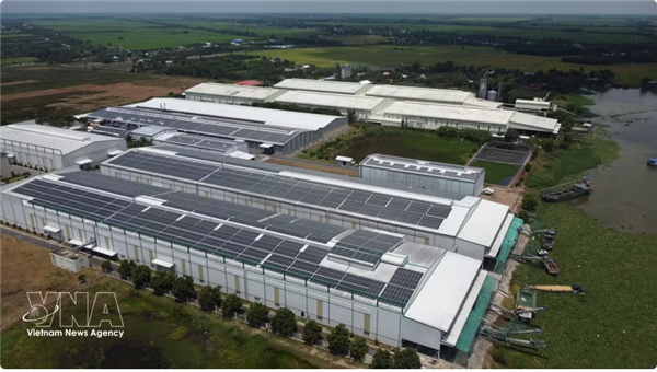 Le solaire en toiture, un levier de transition verte pour les entreprises de Dong Thap