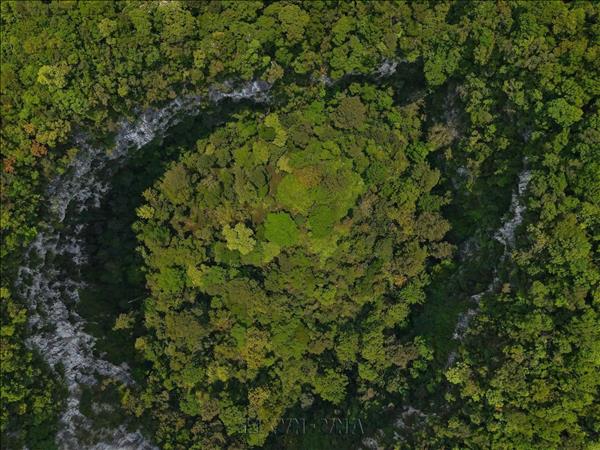 Deep sinkhole discovered in Phong Nha-Ke Bang National Park