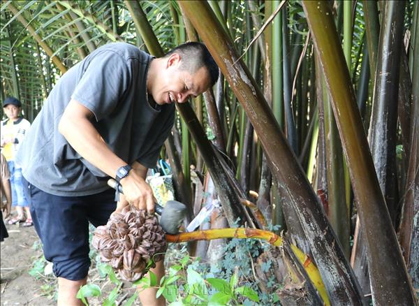 Ứng dụng tiến bộ kỹ thuật, phát triển sản phẩm hàng hóa giá trị cao