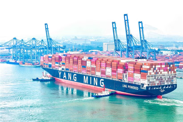 阳明海运新一代双燃料集装箱船首次靠泊新港—盖梅国际港