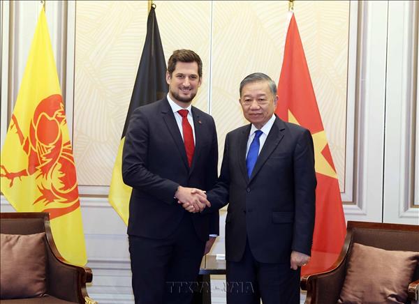 Tổng Bí thư, Chủ tịch nước Tô Lâm tiếp Bộ trưởng - Thủ hiến vùng Wallonie