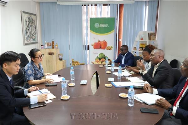 Thúc đẩy hợp tác nông nghiệp, thương mại Việt Nam – Mozambique