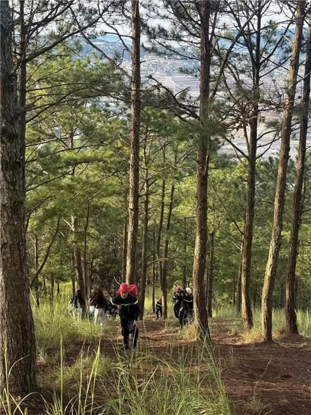 成功救援在大叻登山并遇险的外国游客
