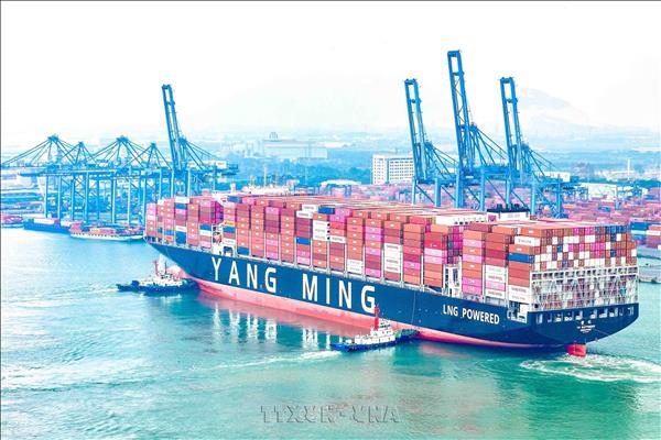 Yang Mings container ship makes first call at Tan Cang - Cai Mep terminal