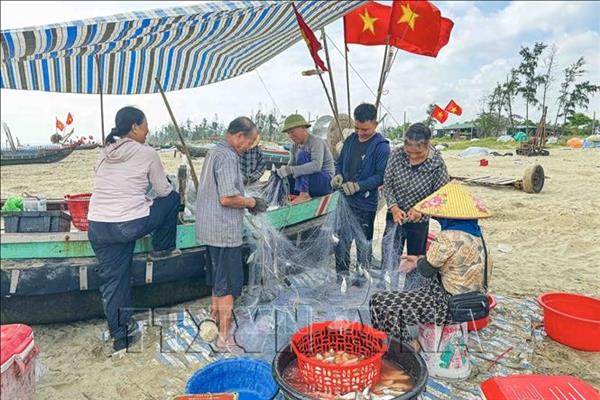 Ha Tinh steps up fleet management, e-catch traceability to combat IUU fishing