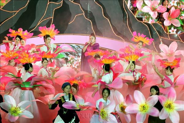 Buckwheat Flower Festival opens in Tuyen Quang
