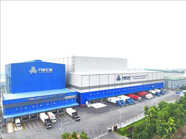 Tây Ninh thu hút ít nhất 3 trung tâm logistics, gắn với khu kinh tế cửa khẩu và cảng