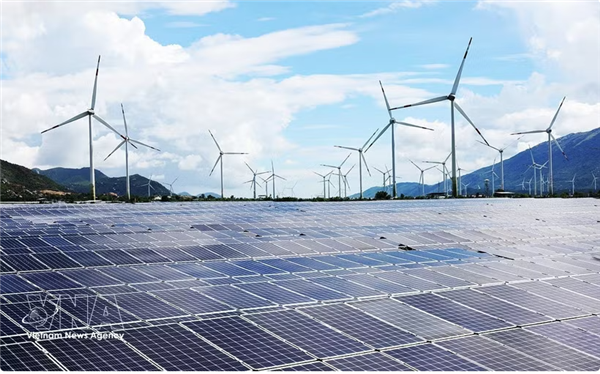 La province de Cà Mau approuve un projet éolien de près de 4.000 milliards de dôngs