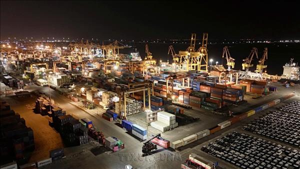 Skilled workforce key to advancing Vietnams marine economy: insiders