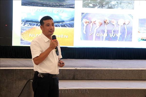 Phát triển nuôi tôm nước lợ bền vững tại vùng Đồng bằng sông Cửu Long