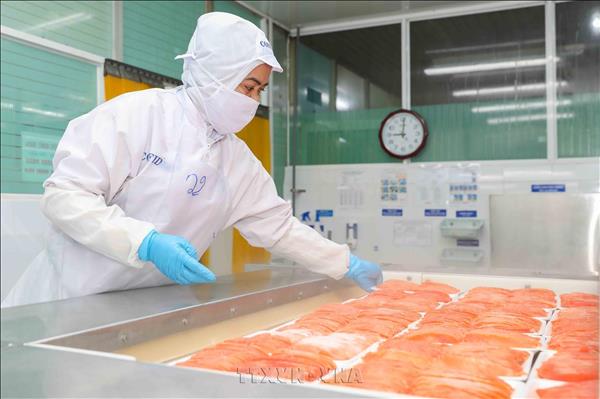 Vietnams seafood exporters chase 12 bln USD record as year-end demand builds