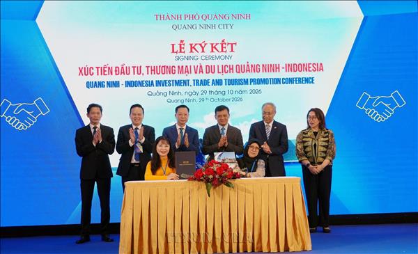 Quảng Ninh thúc đẩy hợp tác toàn diện với các đối tác Indonesia