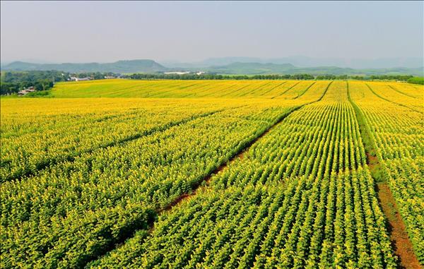  Đa dạng trải nghiệm du lịch ở Nghệ An