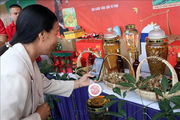 Quảng Ngãi: Khai mạc Lễ hội sâm Ngọc Linh