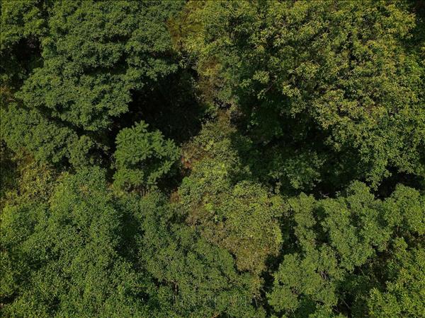 Un gouffre de 120 mètres découvert au Parc national de Phong Nha–Ke Bang