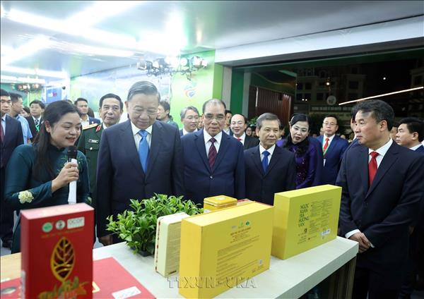 トー・ラム書記長・国家主席 タイグエン省に「質の高い発展」を要請