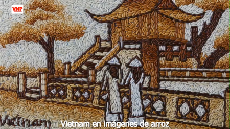 Vietnam en imágenes de arroz