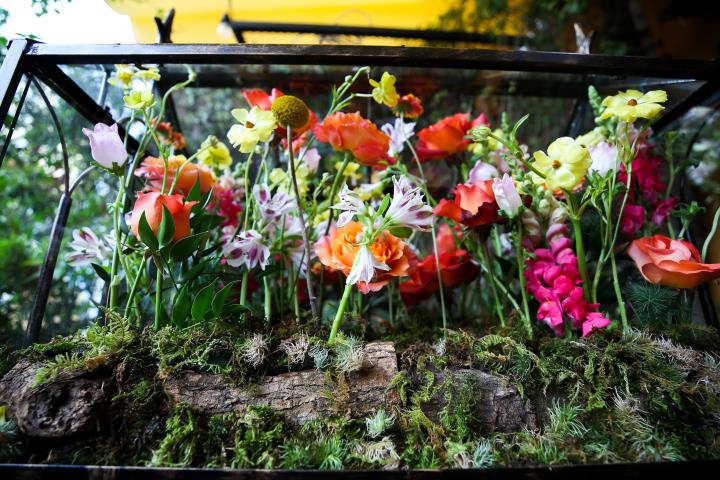 Planting flowers in glass boxes