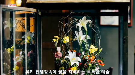 유리 진열장속에 꽃을 재배하는 독특한 예술