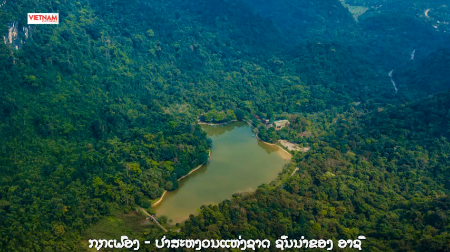 ກຸກເຟືອງ - ປ່າສະຫງວນແຫ່ງຊາດ ຊັ້ນນໍາ ຂອງ ອາຊີ