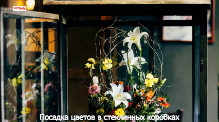 Посадка цветов в стеклянных коробках