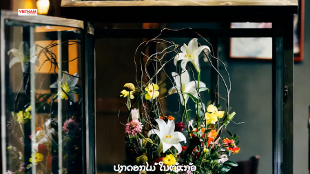 ປູກດອກໄມ້ ໃນຕູ້ແກ້ວ